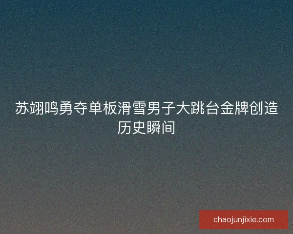 苏翊鸣勇夺单板滑雪男子大跳台金牌创造历史瞬间