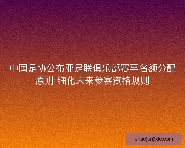 中国足协公布亚足联俱乐部赛事名额分配原则 细化未来参赛资格规则