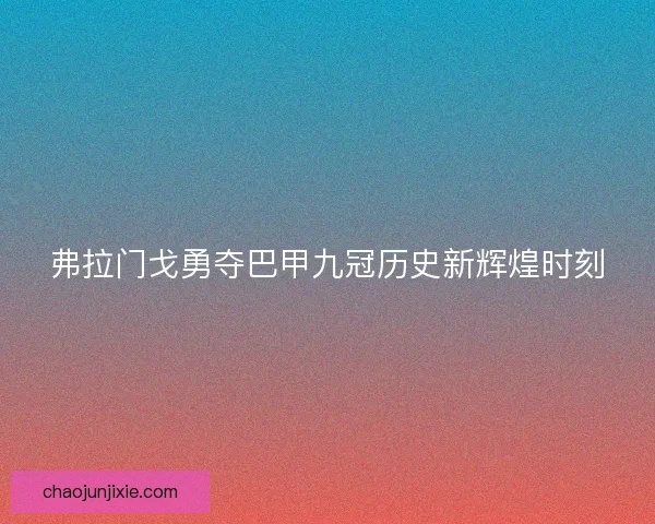 弗拉门戈勇夺巴甲九冠历史新辉煌时刻