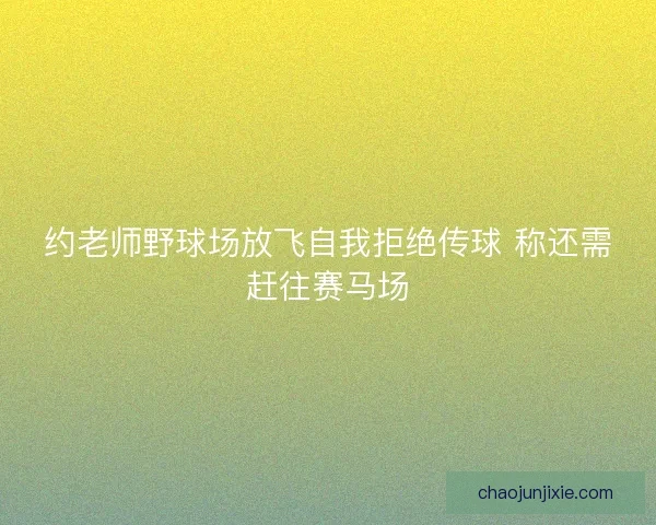 约老师野球场放飞自我拒绝传球 称还需赶往赛马场