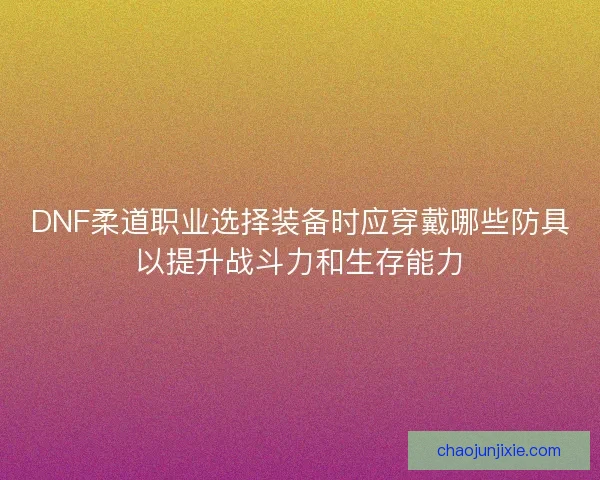 DNF柔道职业选择装备时应穿戴哪些防具以提升战斗力和生存能力