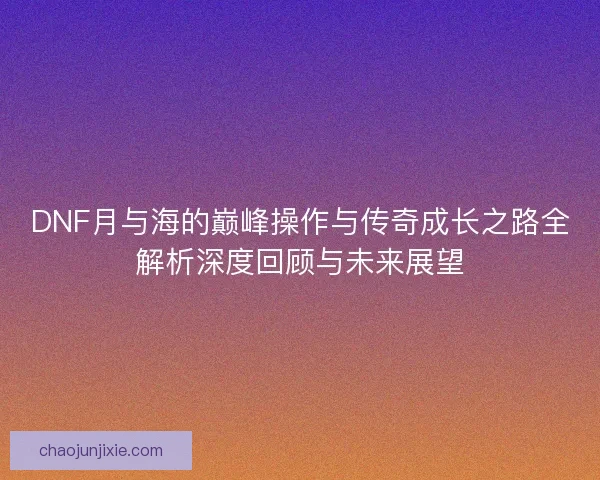 DNF月与海的巅峰操作与传奇成长之路全解析深度回顾与未来展望